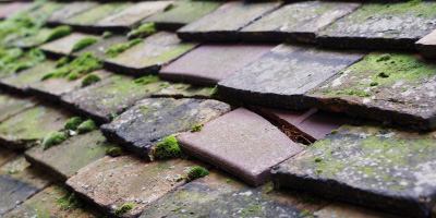 Bude roof repair costs